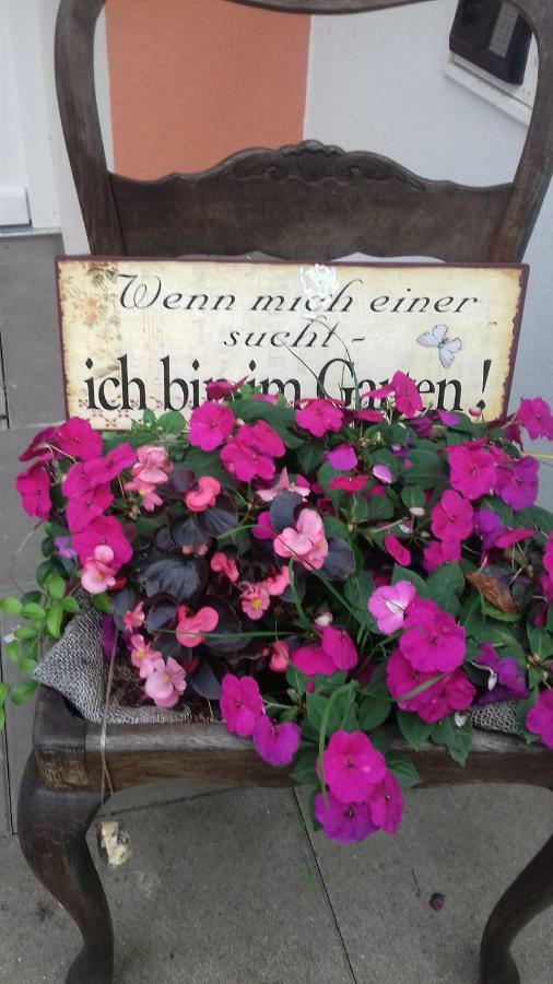 Fewo 2 Ferienwohnung Waren Mueritz - Haus Buchen Am Tiefwarensee - 2 Zi Exterior foto